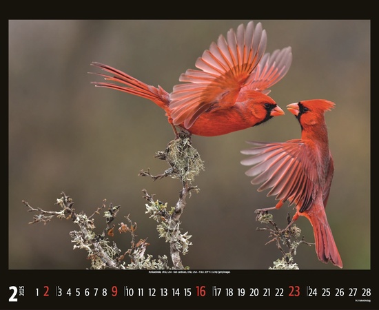 Bedrohte Tierwelt