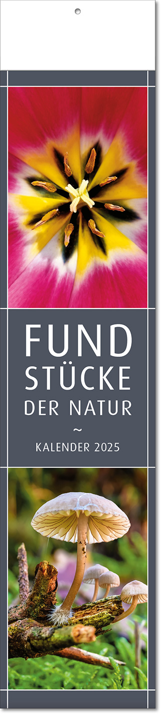 Kalender "Fundstücke der Natur" im Format 11 x 50 cm, mit Fälzel