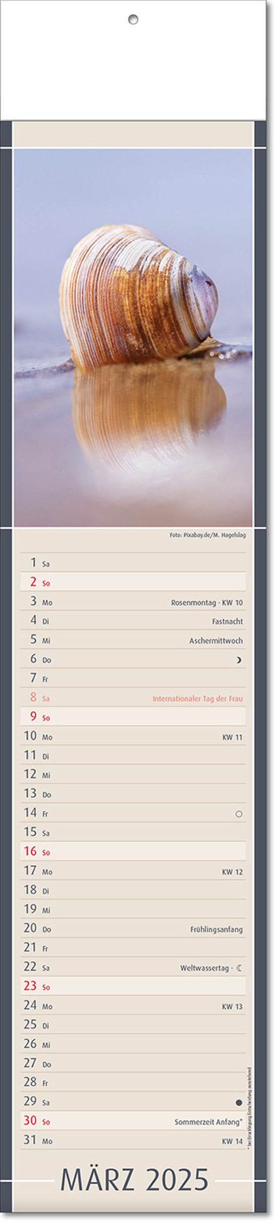 Kalender "Fundstücke der Natur" im Format 11 x 50 cm, mit Fälzel
