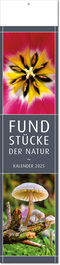 Kalender "Fundstücke der Natur" im Format 11 x 50 cm, mit Fälzel