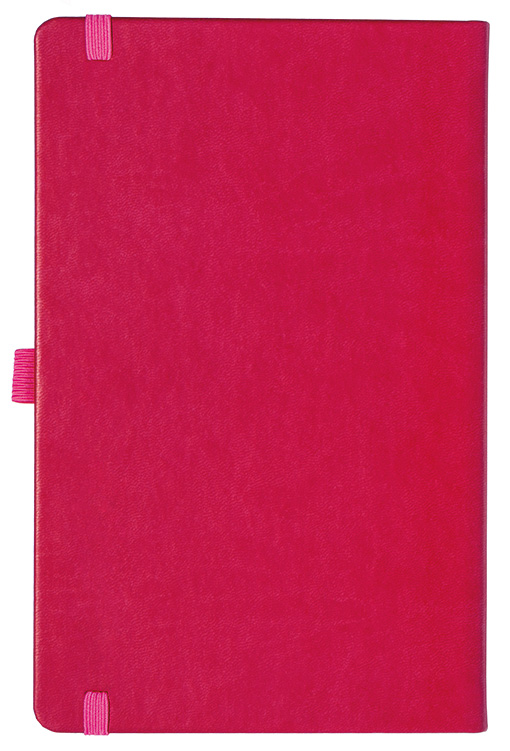 Notizbuch Style Medium im Format 13x21cm, Inhalt liniert, Einband Slinky in der Farbe Pink