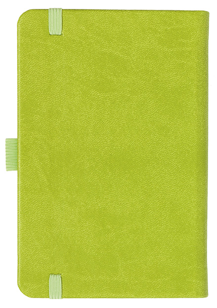Notizbuch Style Small im Format 9x14cm, Inhalt kariert, Einband Slinky in der Farbe Lime