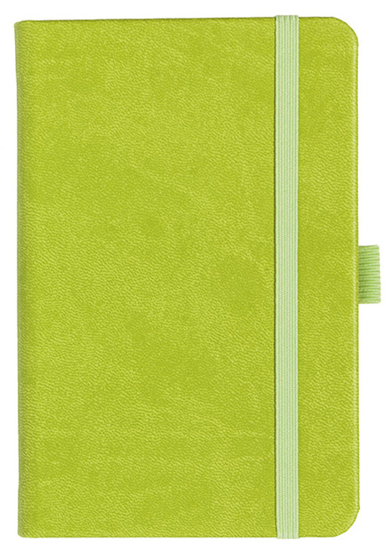 Notizbuch Style Small im Format 9x14cm, Inhalt kariert, Einband Slinky in der Farbe Lime