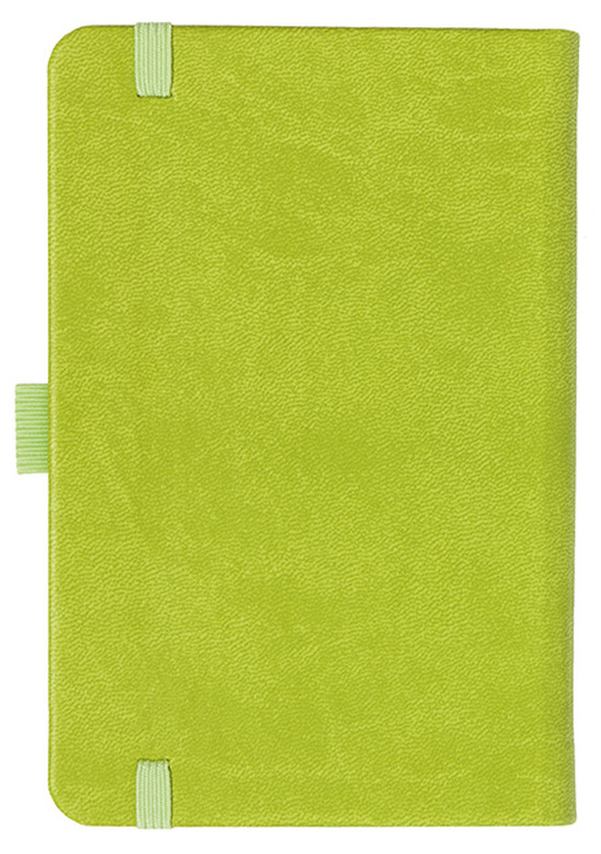 Notizbuch Style Small im Format 9x14cm, Inhalt liniert, Einband Slinky in der Farbe Lime
