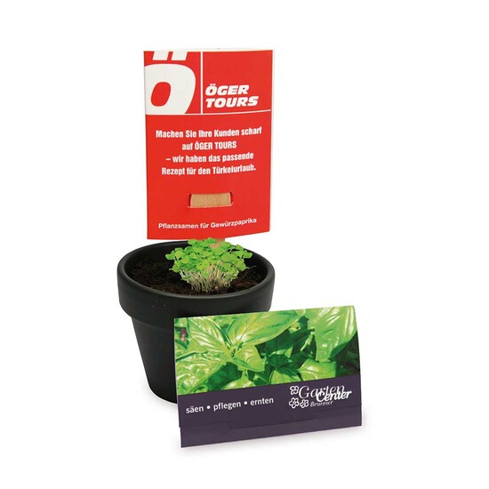 Pflanz-Stick mit Samen - Schnittlauch