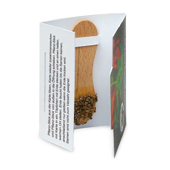 Pflanz-Stick mit Samen - Schnittlauch