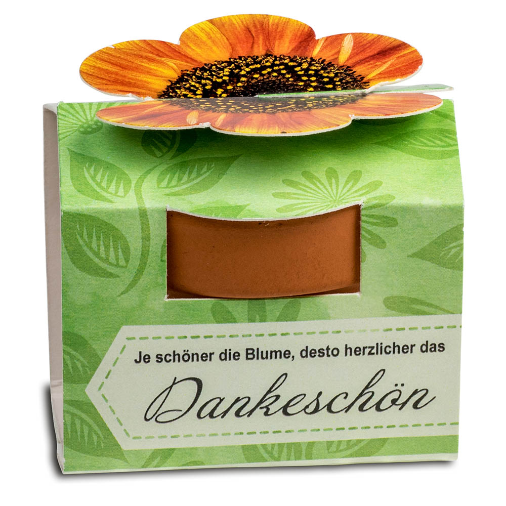 Tontöpfchen-Blume mit Samen - Petersilie
