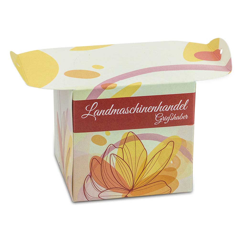 Blumenampel - Glücksklee-Zwiebeln (* Je nach Verfügbarkeit der Glücksklee-Zwiebeln)