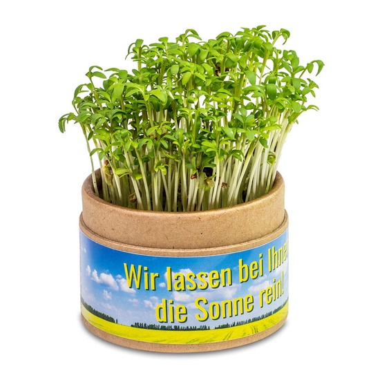 Pflanz-Cup mit Samen - Gartenkresse