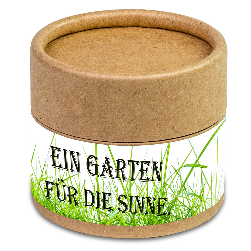 Pflanz-Cup mit Samen - Schnittlauch