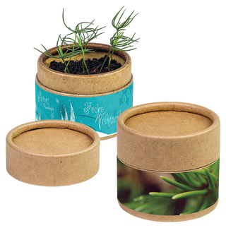 Pflanz-Cup mit Fichtensamen