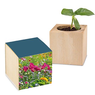 Pflanz-Holz mit Samen - Sommerblumenmischung