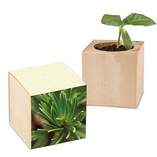 Pflanz-Holz mit Samen (Graspapier-Banderole) - Fichte, 1 Seite gelasert
