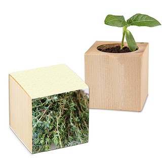 Pflanz-Holz mit Samen (Graspapier-Banderole) - Thymian, 1 Seite gelasert