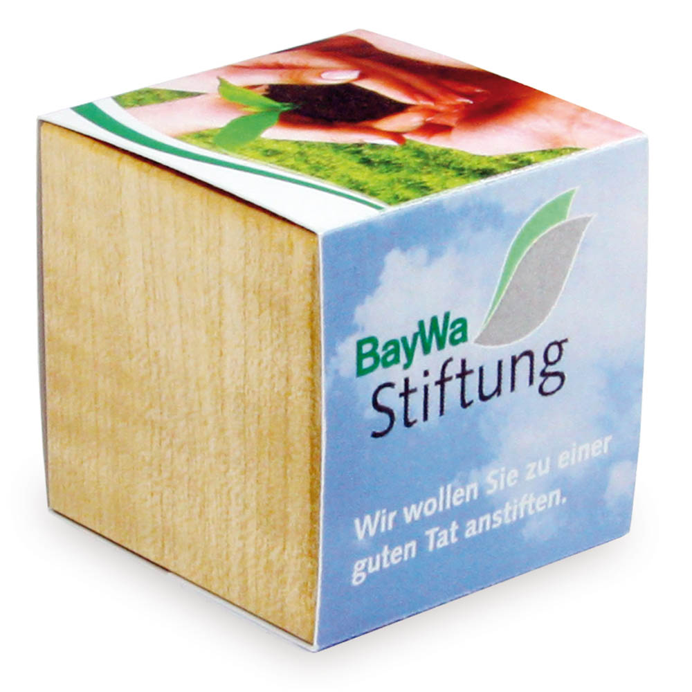Pflanz-Holz mit Samen - Fichte, 2 Seiten gelasert