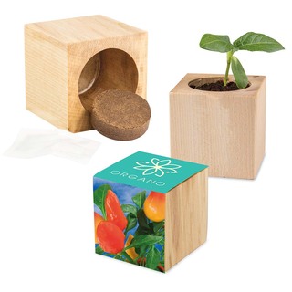 Pflanz-Holz Maxi mit Samen - Gewürzpaprika