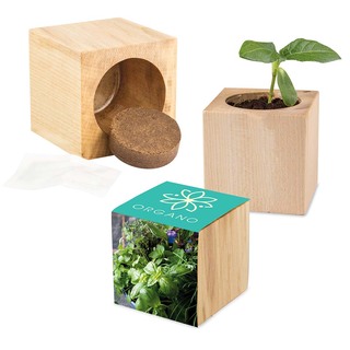 Pflanz-Holz Maxi mit Samen - Kräutermischung