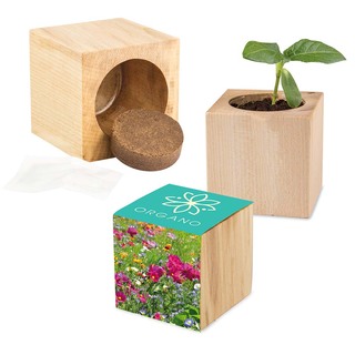 Pflanz-Holz Maxi mit Samen - Sommerblumenmischung, 1 Seite gelasert