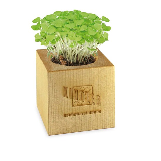 Pflanz-Holz Maxi mit Samen - Sommerblumenmischung, 1 Seite gelasert