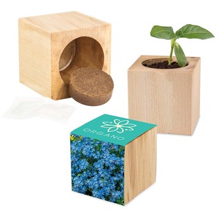 Pflanz-Holz Maxi mit Samen - Vergissmeinnicht, 1 Seite gelasert