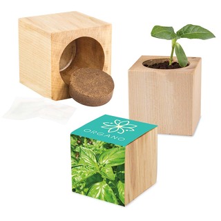 Pflanz-Holz Maxi mit Samen - Basilikum, 2 Seiten gelasert