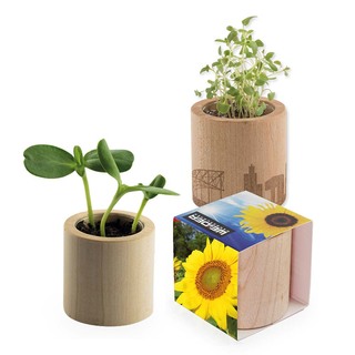 Pflanz-Holz rund mit Samen - Sonnenblume