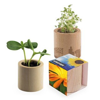 Pflanz-Holz rund mit Samen - Ringelblume, Rundum-Lasergravur