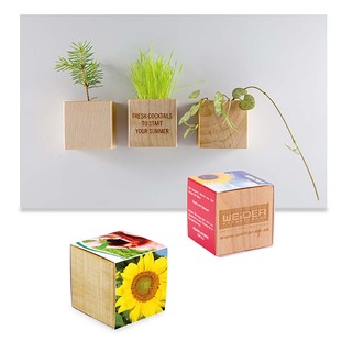 Pflanz-Holz Magnet mit Samen - Sonnenblume, 1 Seite gelasert