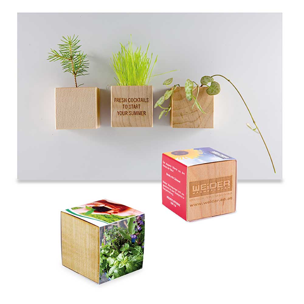 Pflanz-Holz Magnet mit Samen - Kräutermischung, 2 Seiten gelasert