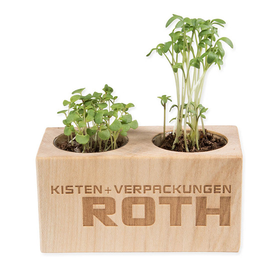 Pflanz-Holz 2er Set mit Samen - Gewürzpaprika, 2 Seiten gelasert