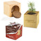 Pflanz-Holz Star-Box mit Samen - Fichte