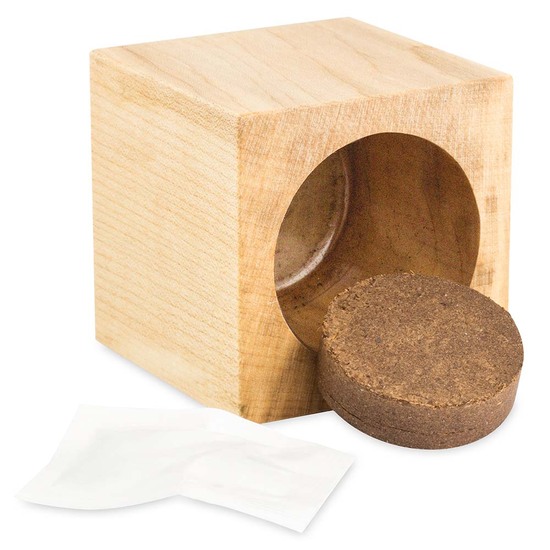 Pflanz-Holz Maxi Star-Box mit Samen - Vergissmeinnicht