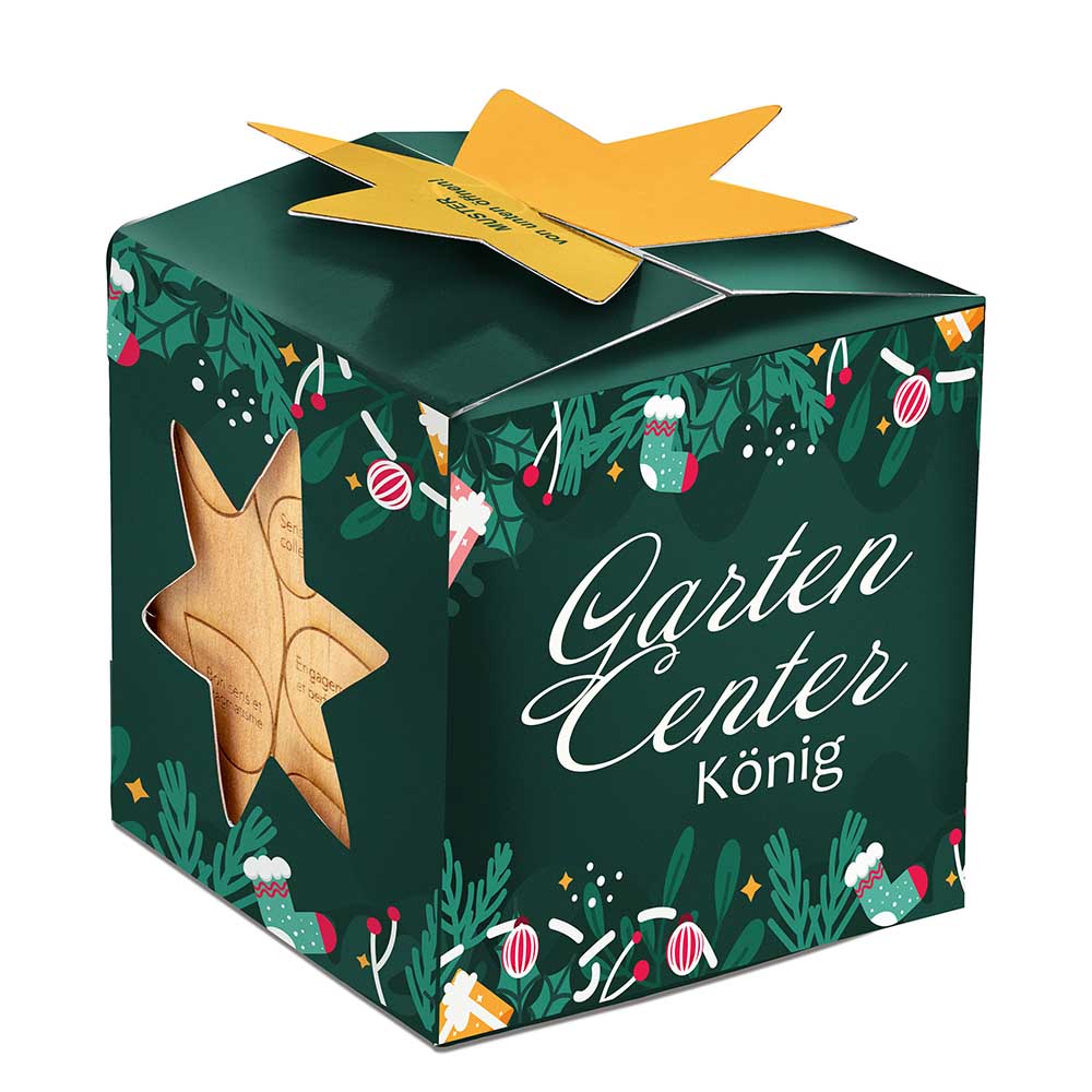 Pflanz-Holz Maxi Star-Box mit Samen - Margerite, 1 Seite gelasert