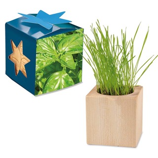 Pflanz-Holz Maxi Star-Box mit Samen - Basilikum, 2 Seiten gelasert