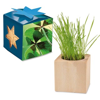 Pflanz-Holz Maxi Star-Box mit Samen - Glücksklee-Zwiebel, 2 Seiten gelasert (* Je nach Verfügbarkeit der Glücksklee-Zwiebeln)