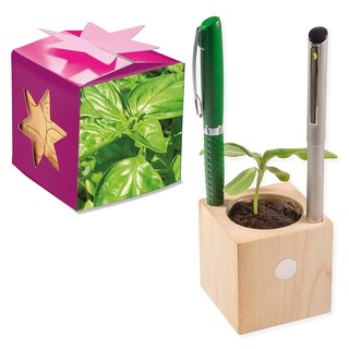 Pflanz-Holz Büro Star-Box mit Samen - Basilikum, 1 Seite gelasert