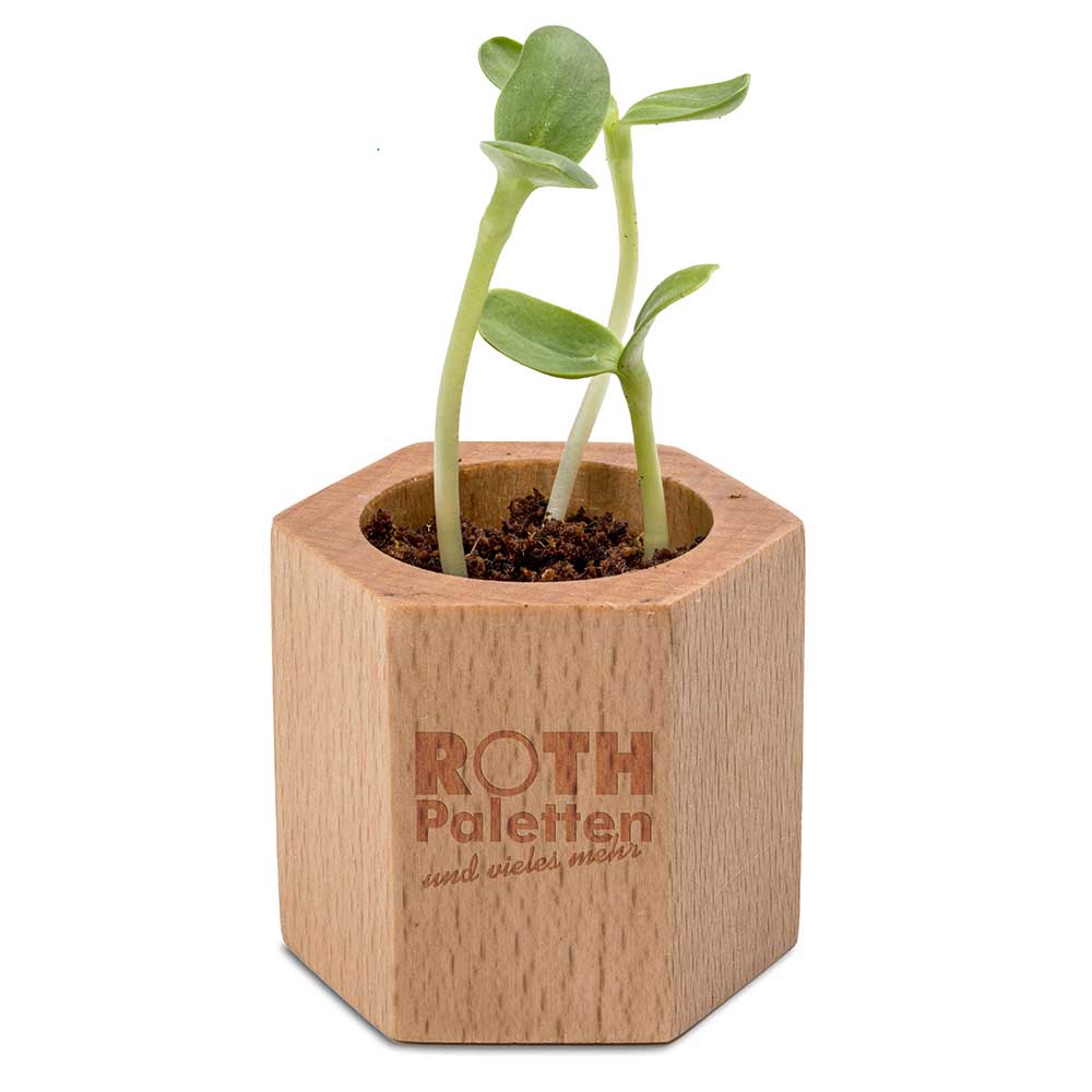 Pflanz-Holz Hexagon mit Samen - Petersilie, 1 Seite gelasert