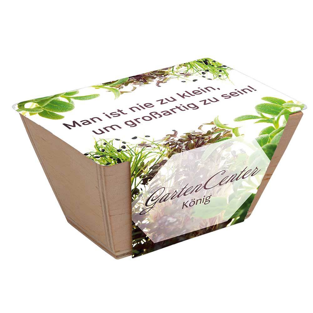 Mini-Beet mit Samen - Basilikum