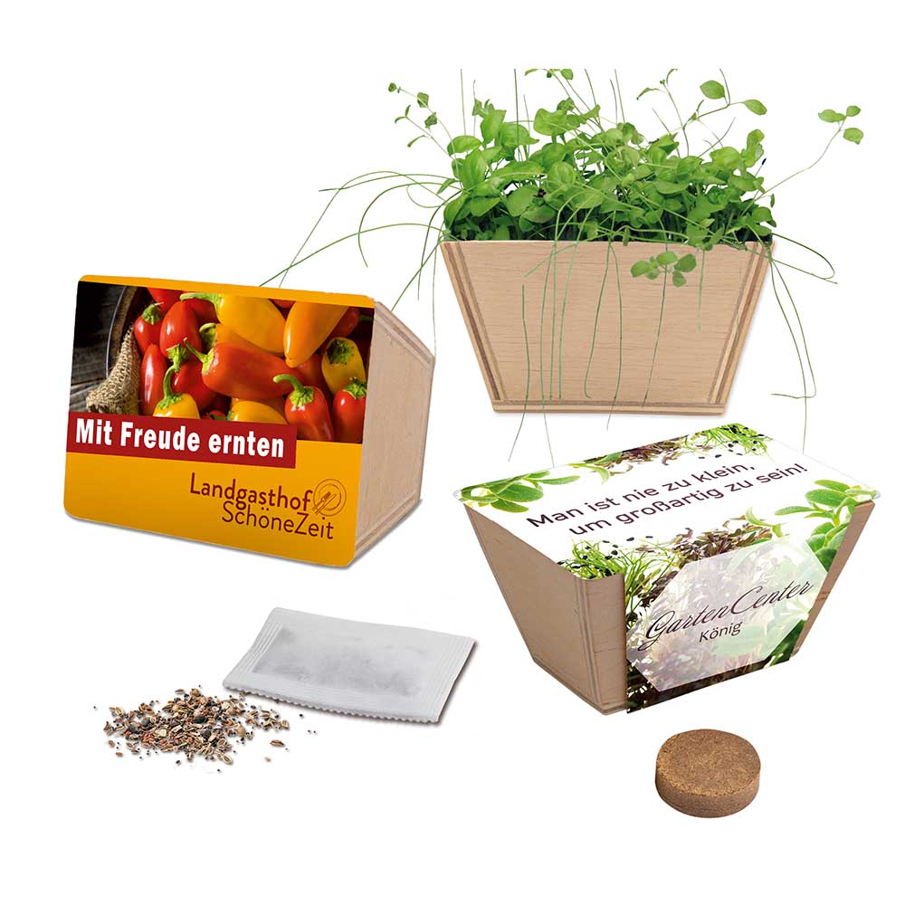 Mini-Beet mit Samen - Basilikum