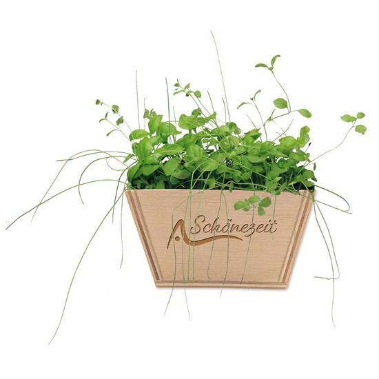 Mini-Beet mit Samen - Margerite, Lasergravur