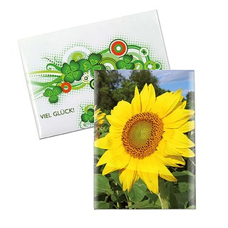 Samentütchen Mini - Standardpapier - Sonnenblumen
