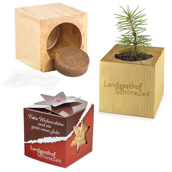 Pflanz-Holz Star-Box Xmas mit Fichtensamen - Fichte, 1 Seite gelasert
