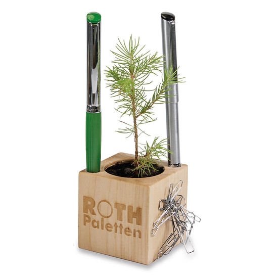 Pflanz-Holz Büro Star-Box Xmas mit Fichtensamen - Fichte, 2 Seiten gelasert