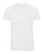 BCTM055 Triblend T-Shirt /Men