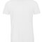 BCTM055 Triblend T-Shirt /Men