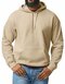 GSF500 Softstyle® Midweight Sweat Adult Hoodie