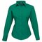 Ladies` Poplin Long Sleeve Blouse