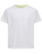 Mesh Raglan Kids